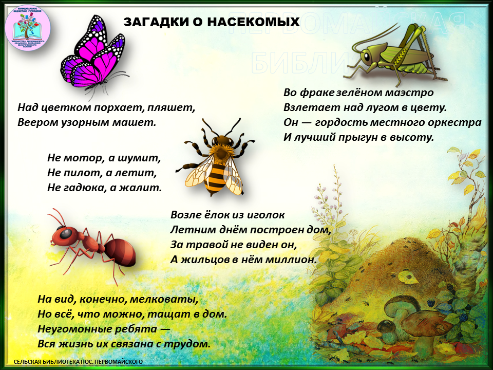 Загадки про насекомых для детей 5