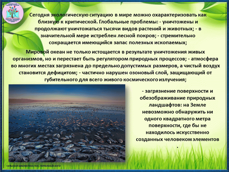 Экологические проблемы современности это. Экологический риск картинки. Экологические риски картинки. Экологические риски картинки для презентации. Экологическая программа Лесные чудеса