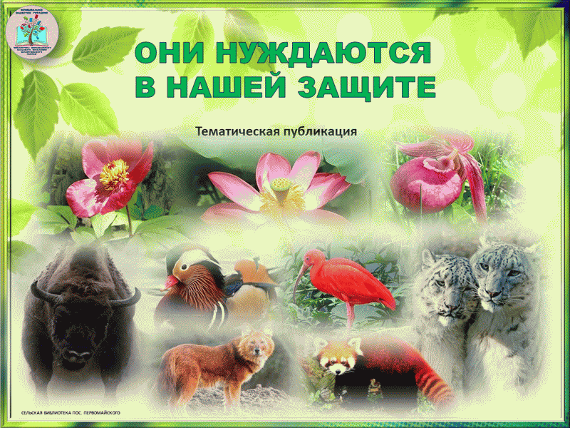 Того в чем они нуждаются. Помощь нуждающемуся. Помогайте нуждающимся. Того в чем они нуждаются. Того в чем они нуждаются.