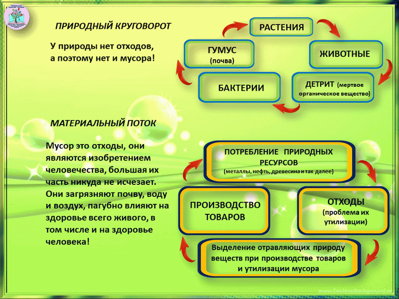 Экологические проблемы современности план